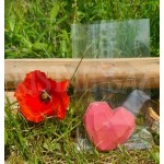 Plat Cristal 100x200mm