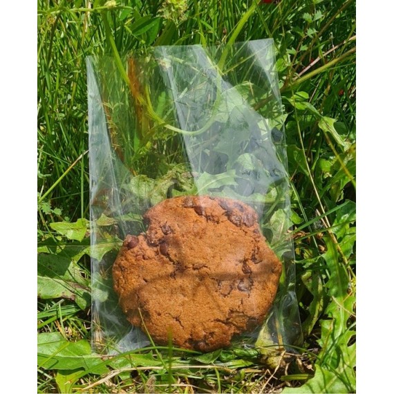 Sachet Plat 80x110 mm 40µ