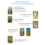 PACK 17 ECHANTILLONS GRATUIT