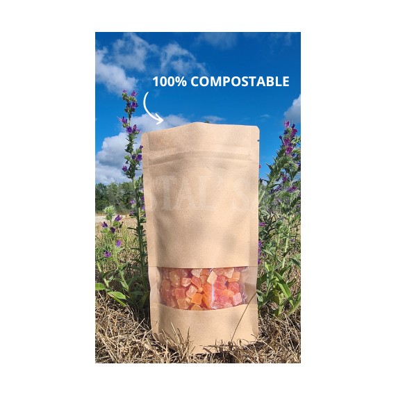 DOYPACK KRAFT FENETRE TRANSPARENTE PLA 110X185+65 mm 