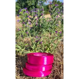 FUSCHIA