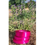 FUSCHIA